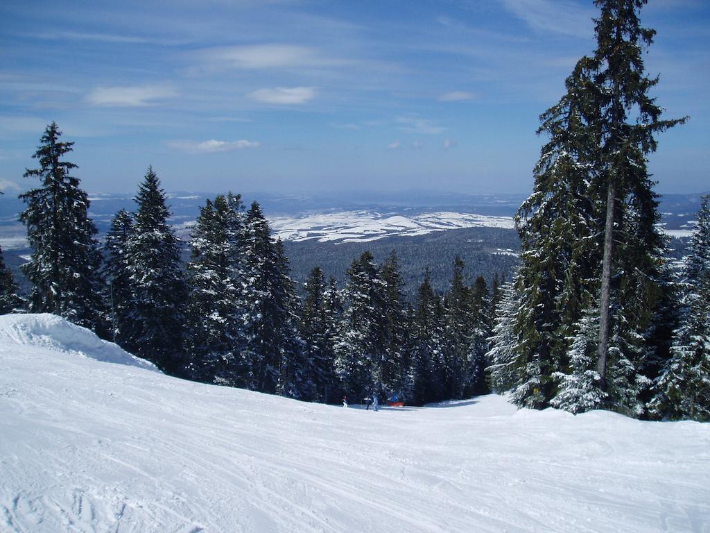 Villa Ibar Borovets Eksteriør billede